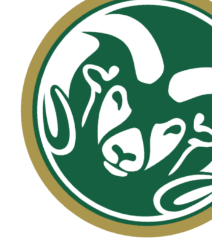 CSU-rams-background-image